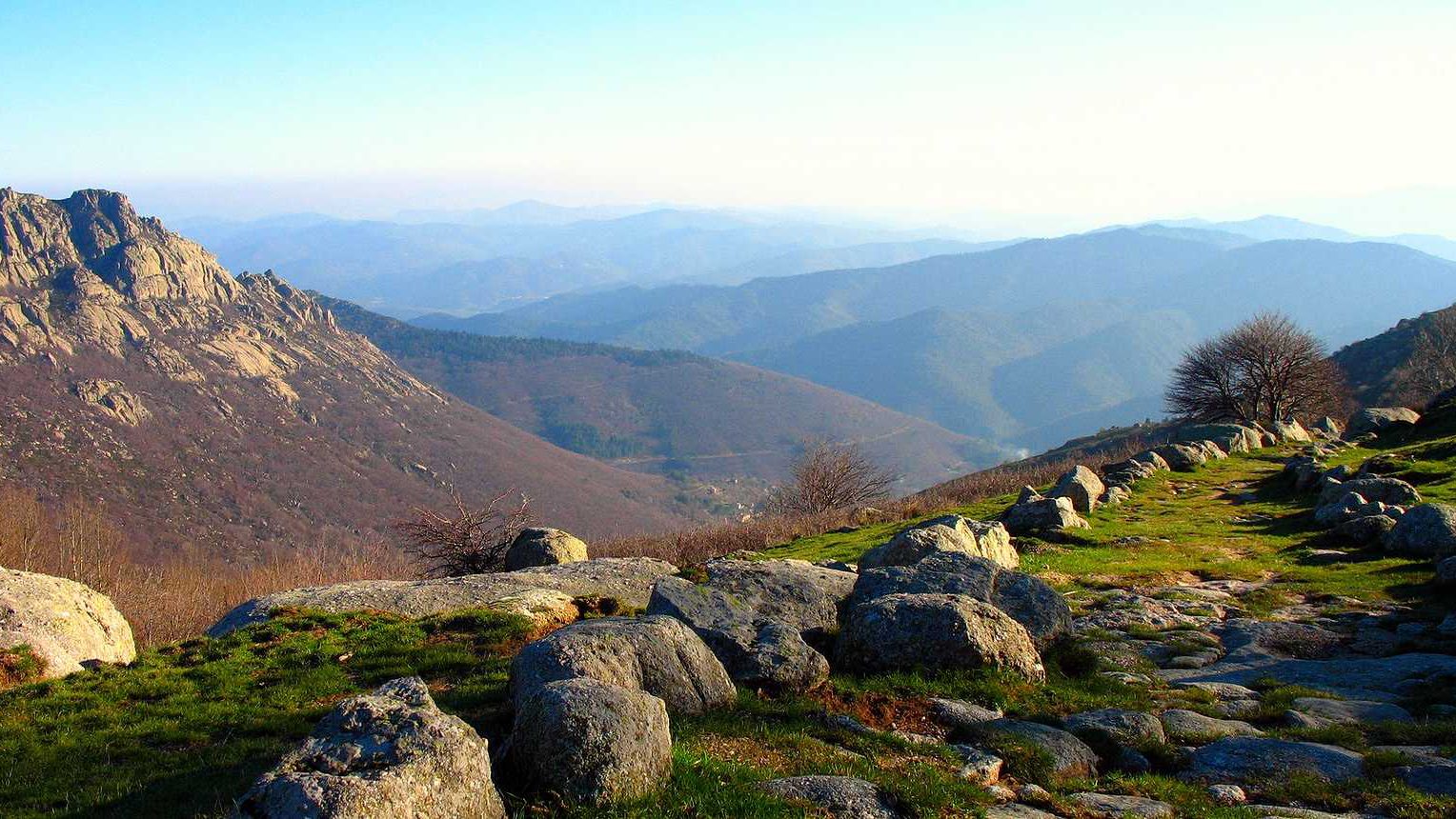 Du miel produit au cœur des Cévennes - Le rucher du trenze